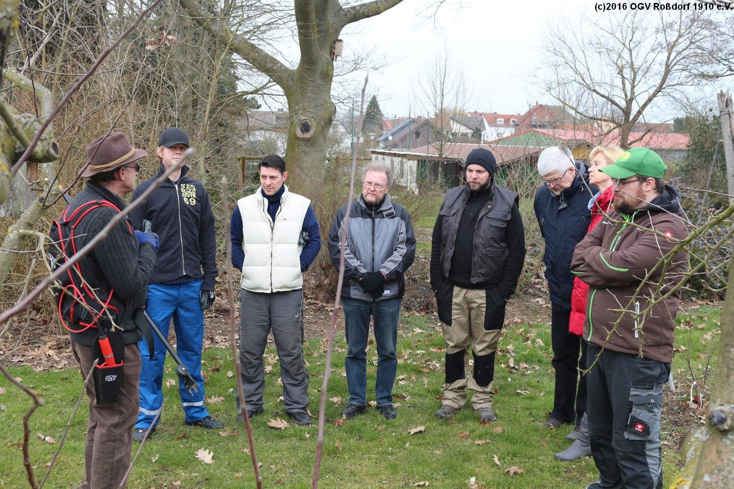 Anwesende beim Winterschnittkurs am 12. Mrz 2016